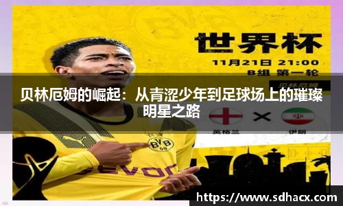 u8国际官网